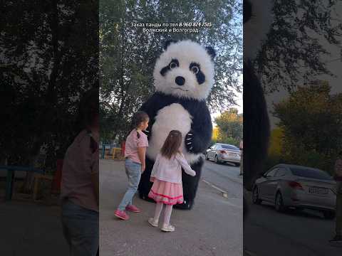 Гигантская панда удивила маленькую именинницу своим появлением🎈🥳 Поздравление от панды в Волжском 🐼