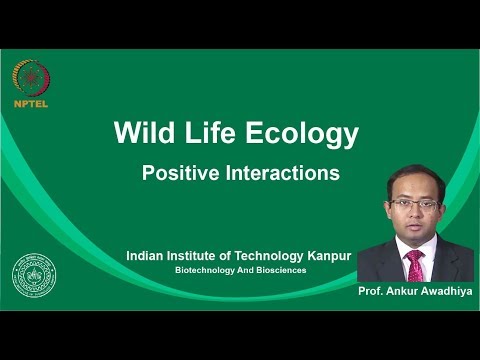 noc19-bt09 Lecture 07-Positive Interactions