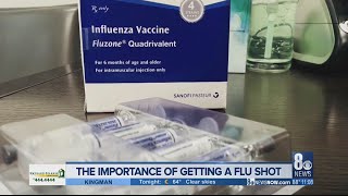 The importance of getting your flu shot