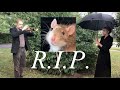 Must-See Rat Funeral
