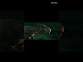T-REX Roar | Sound Design | Abhinav Prajapati | #sounddesign #dinosaur #sfx #film #Animal #foley