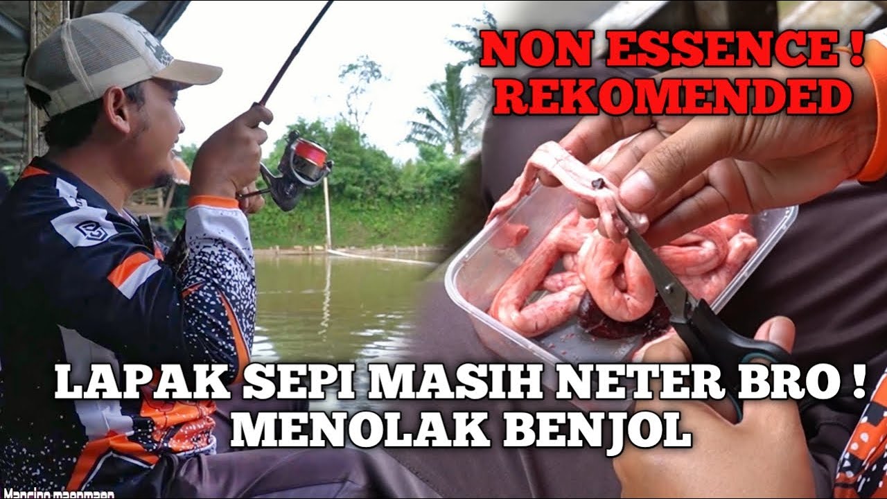 HADOOHH !! DAPET LAPAK HORROR. MASIH NETER BRO ! UMPAN REKOMENDASI UNTUK IKAN BARU/LAMA.