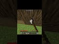 The Most Annoying Part of Building Houses #minecraft #shorts #relatable