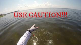 Wade Fly Fishing Part 1: Gator Trout on Fly Ep34