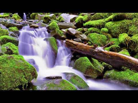 water-sounds-white-noise-for-studying,-focus,-relaxation-or-sleep-(no-music)