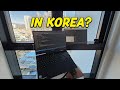 A Day in the Life of an Indie Game Developer in South Korea