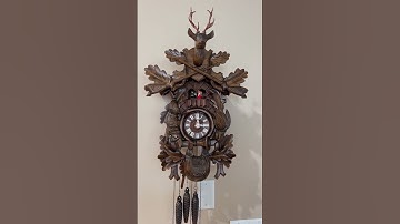 Working - 30-Hour - After The Hunt Cuckoo Clock With Music Box & Dancers. Black Forest German Made.