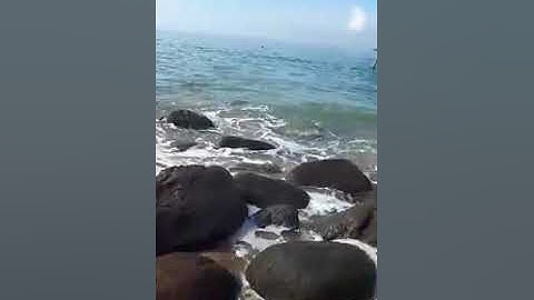 Lặn biển đà nẵng - tuor câu cá bán đảo sơn trà