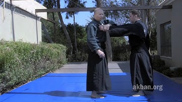 Omote Gyaku armlock, intermediate 2 - Ninjutsu technique for Akban wiki