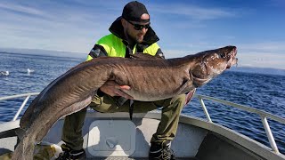 Hitra Fishing 2019 - Trailer