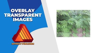 How to overlay transparent images in Affinity publisher