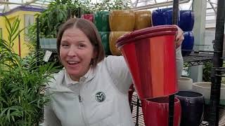 Plant Talk: Use Cute Fancy Pots to Dress Up Your Plants