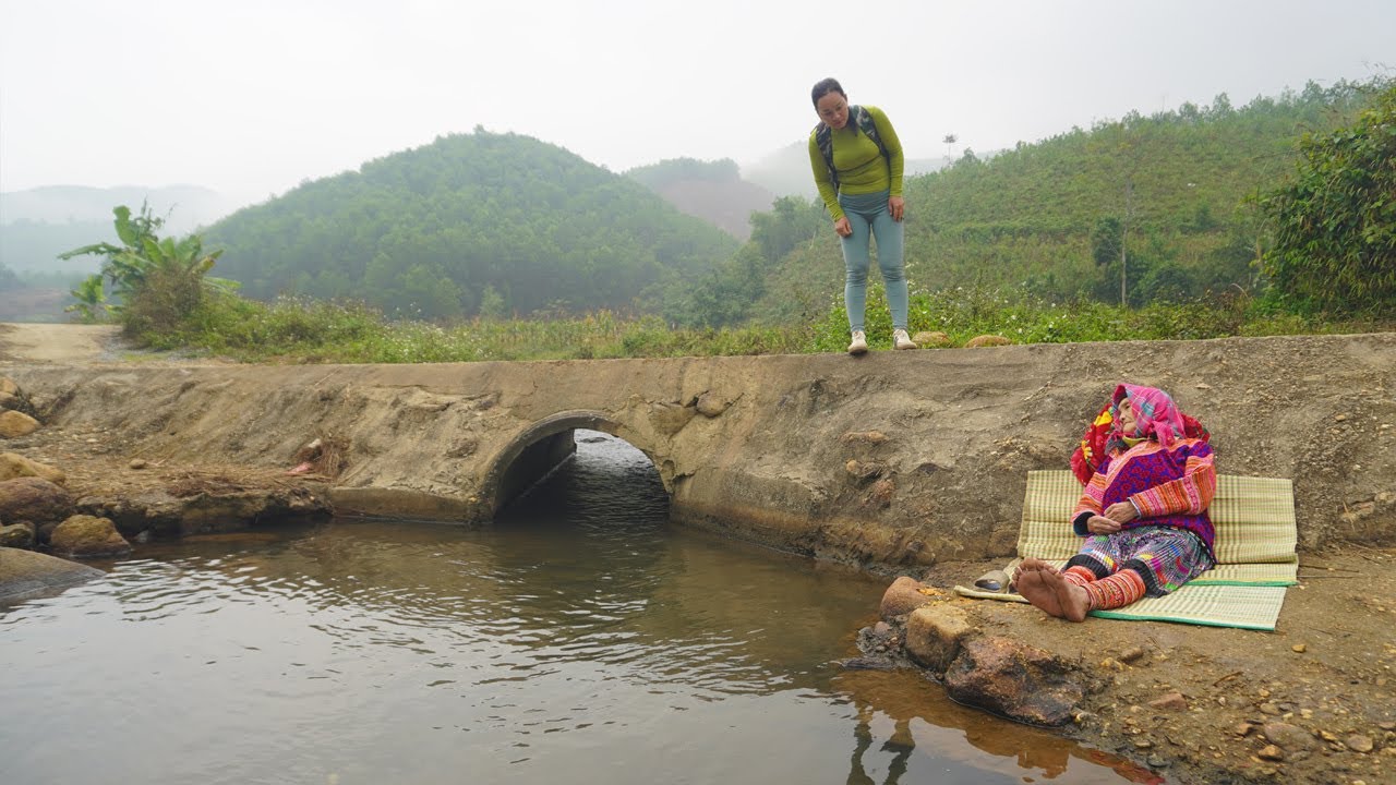 Time-lapse video: 365 days of a girl helping an old lady renovate and clean her old house