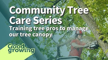 Stewarding our community tree canopies | #GoodGrowing