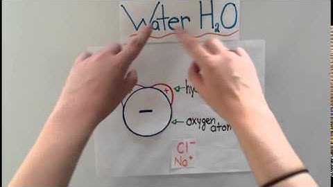 Water Dissolving Salt Chemistry Video