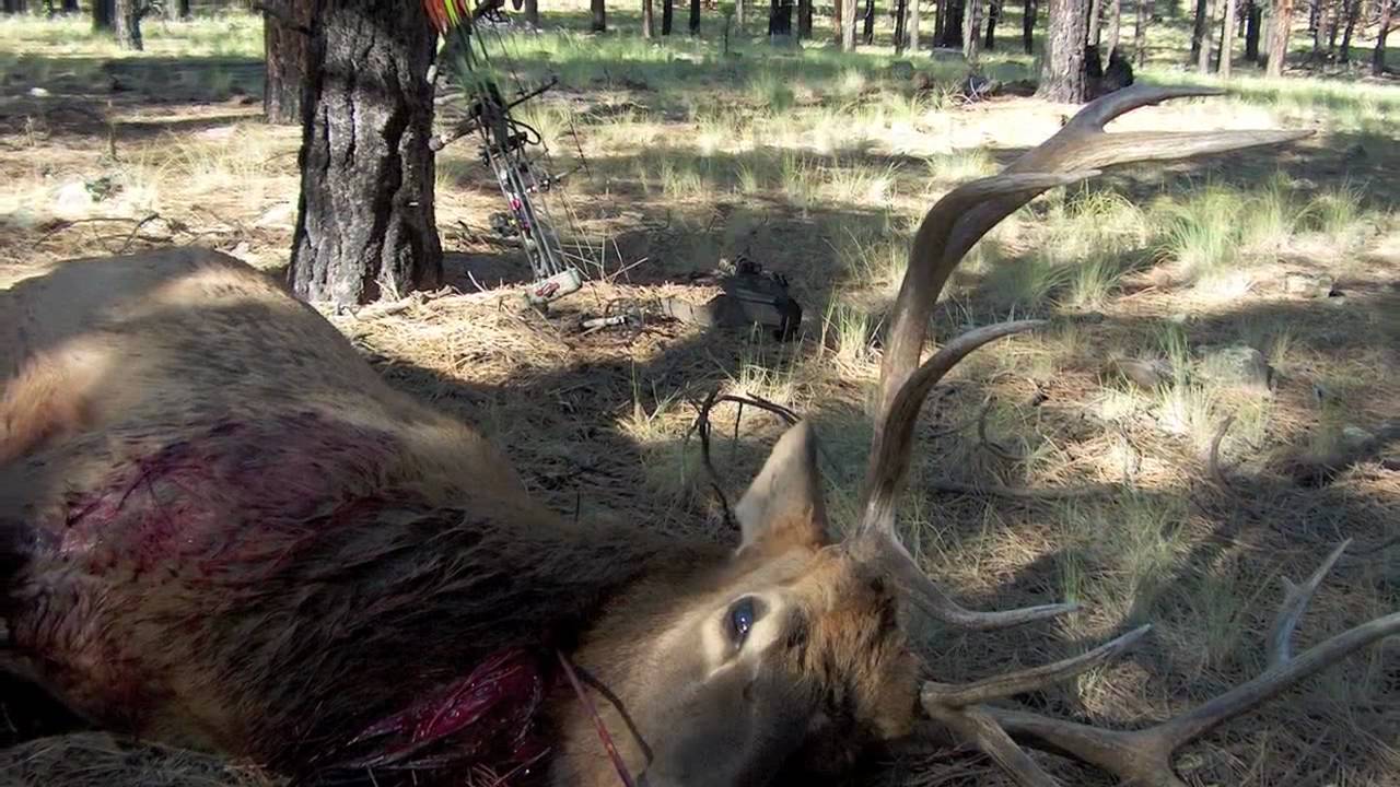 My hunting collage- Mossy Oak Song - YouTube