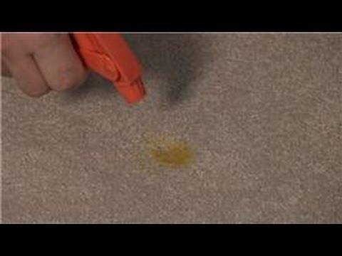 Carpet Cleaning : Removal of a Mustard Stain From a Carpet