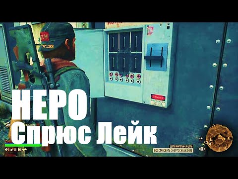 Видео: НЕРО Спрюс Лейк