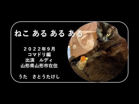RUDY202208ねこあるあるある（コマドリ編）