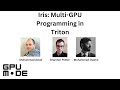 Iris: Multi-GPU Programming in Triton