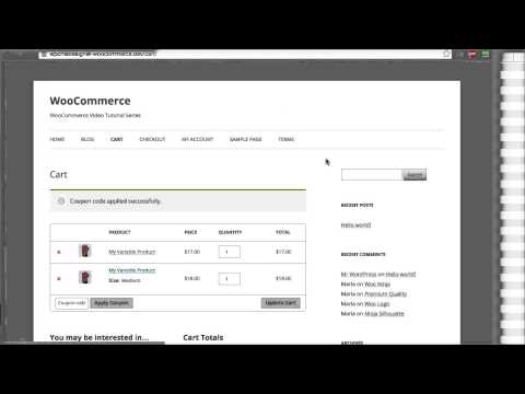 16 – How To Create A Coupon Code? (WooCommerce Tutorial)