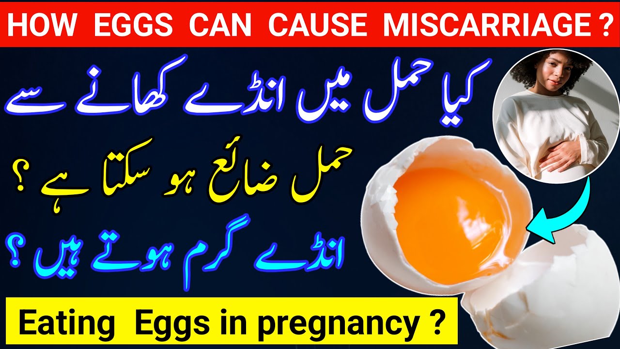 How Eggs Can Cause Miscarriage Eating Eggs in Early Pregnancy Safe or