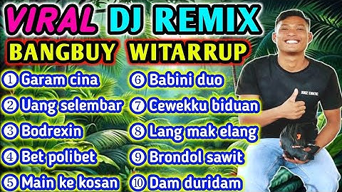 DJ REMIX VIRAL TIKTOK X GARAM CINA X BUDAK CIAMIS X BEONDOL SAWIT