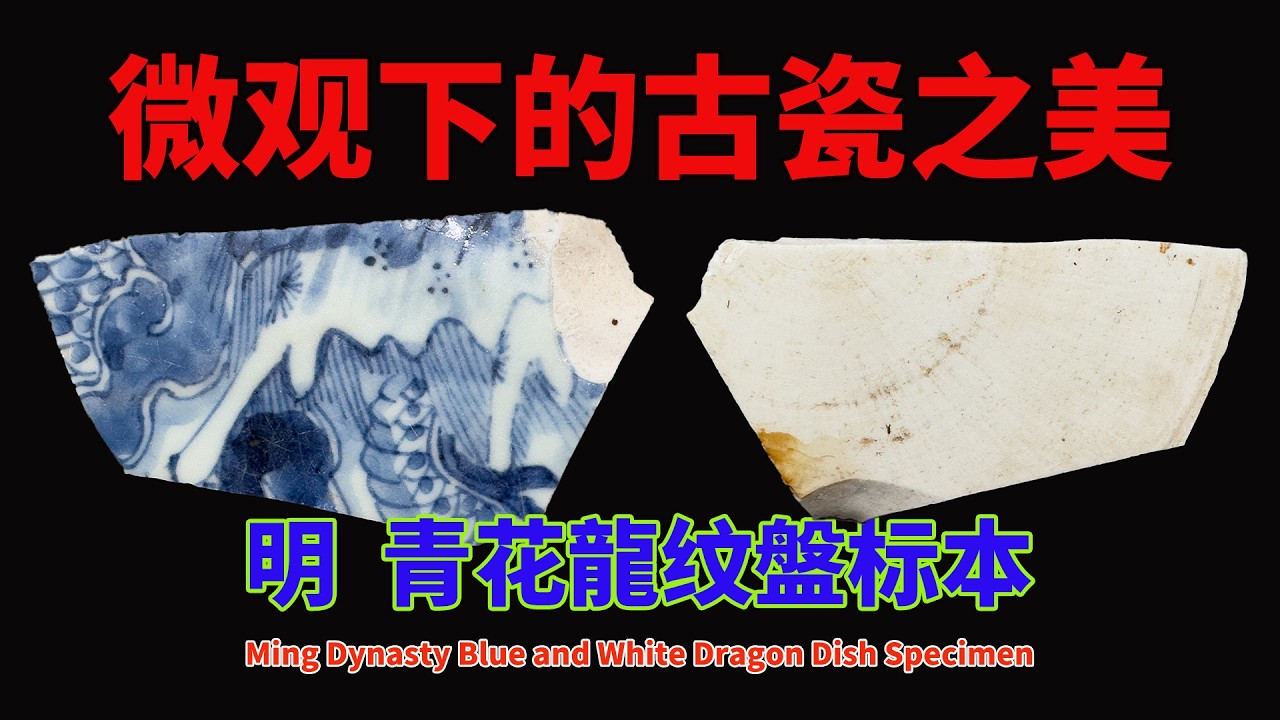 明青花龍纹盤标本- Ming Dynasty Blue and White Dragon Dish Specimen