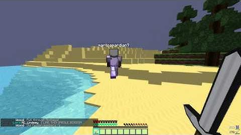 EvoPvP Hacker Caught!