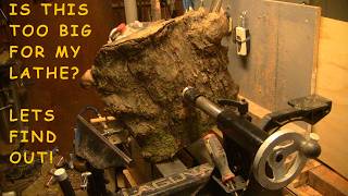 The Beast Olive Wood Turning