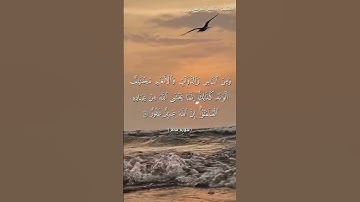 سورة فاطر من آية 27  إلى آية 28 بصوت الشيخ ياسر الدوسري♥♥