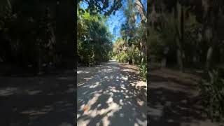 Dickey Lane Beach Path - Kingfisher Vacations