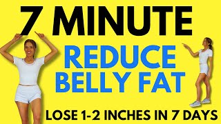 7 Minute Belly Fat Workout -  7 Day Challenge - Start Today screenshot 3