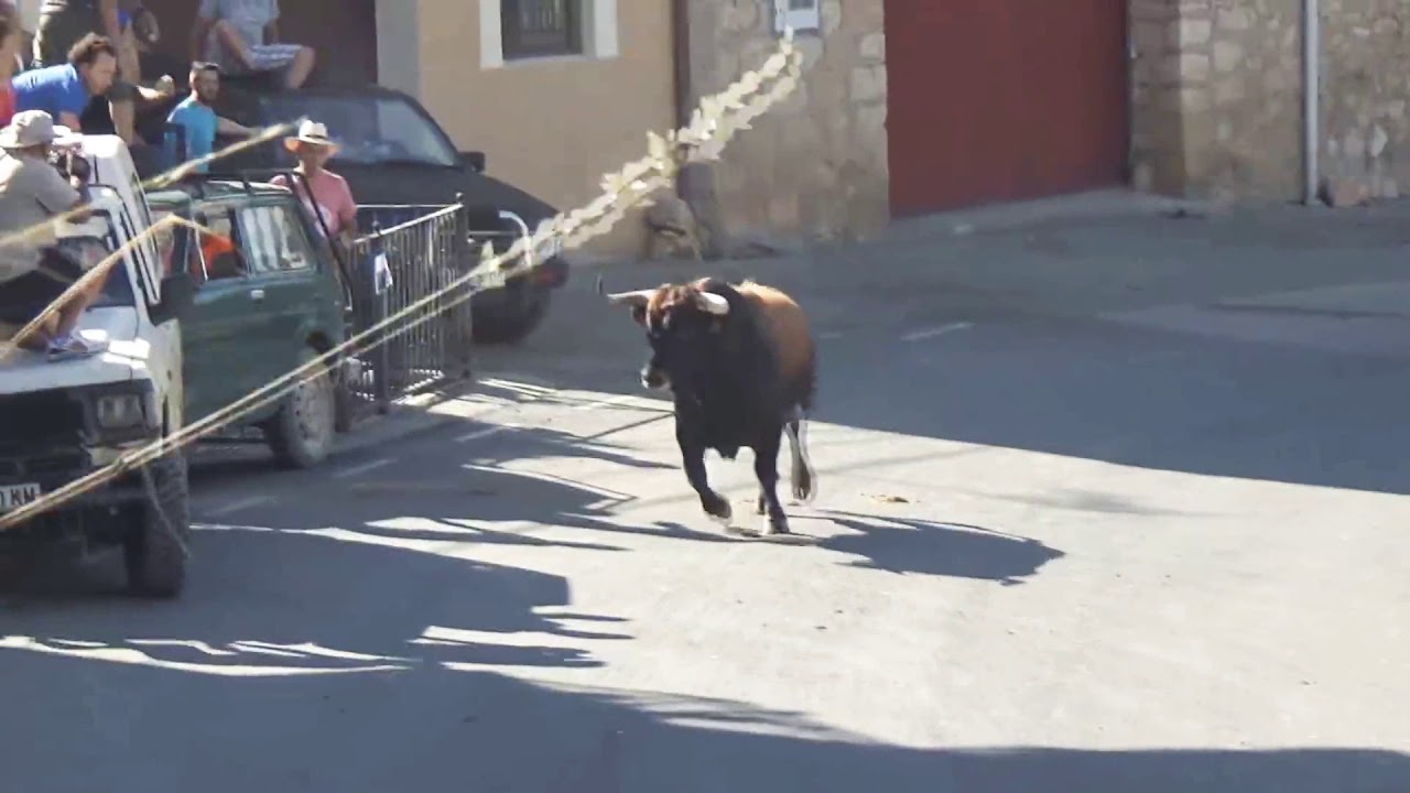 Bull power vs horse power YouTube