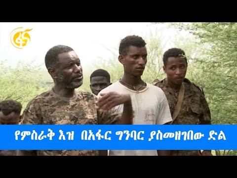 የምስራቅ እዝ  በአፋር ግንባር ያስመዘገበው ድል