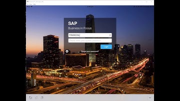 Business ByDesign - Budget Queries