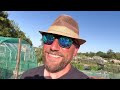 UK Allotment Update | I Rearranged My Greenhouse — And It Worked | May