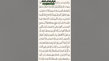 تلاوة من سورة النساء مع المصحف (24-26) -سعود الشريم