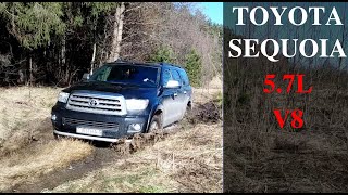 : Toyota Sequoia | 