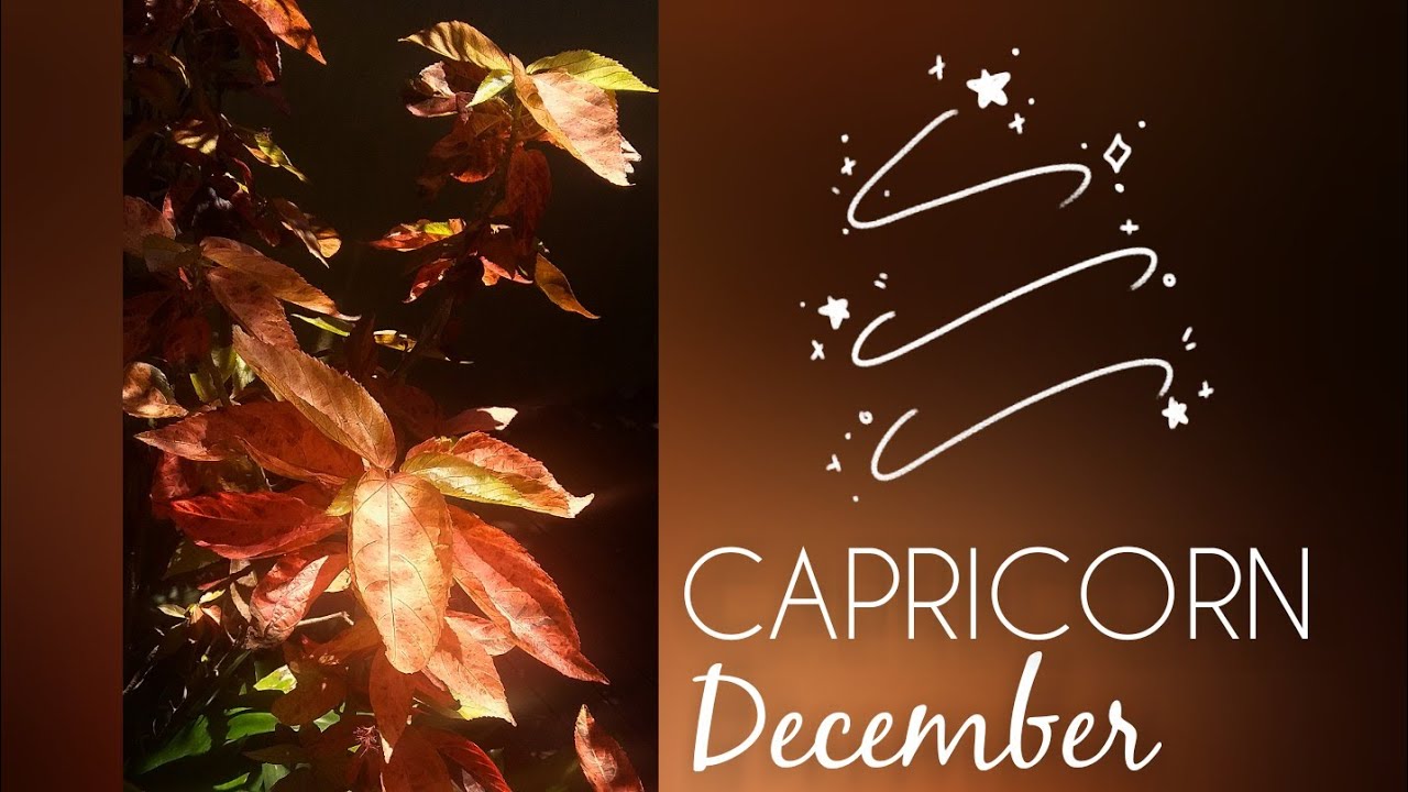 CAPRICORN - December🎄Changes in the home! Its all good🌟 - YouTube