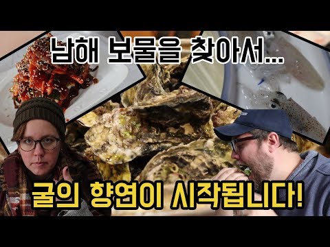 남해로 떠나요! 멸치회, 다찌, 통영굴...해산물 잔치! 외국인 반응.
