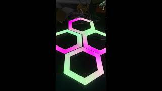 Color Chasing RGB Dream Color LED Strip Lights