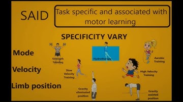 SAID PRINCIPLE | SPECIFIC ADAPTATION TO IMPOSED DEMANDS | PHYSIOTHERAPY | RESISTANCE TRAINING