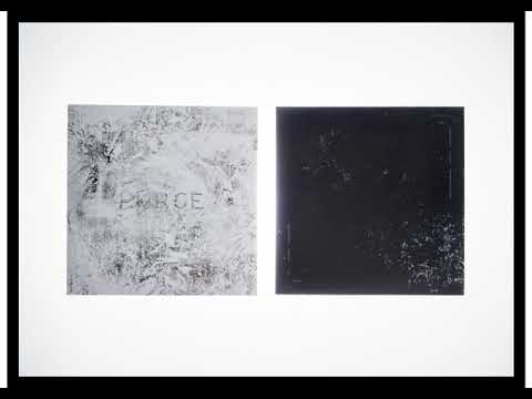 Ptwiggs — Ptwiggs - Lara Dies [DSR002]