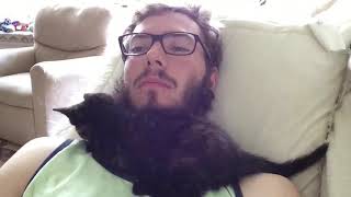 Cyber2 Foxes And Mine Kitty