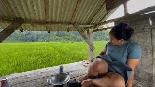 Download Lagu Membuat nasi goreng kampung di pondok tengah sawah MP3