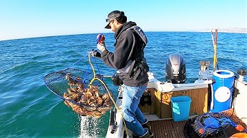 SOOO MANY CRABS!  I could barely lift the pot!