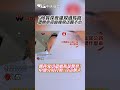 納粹言論爭議