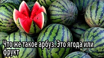 Что же такое арбуз Это ягода или фрукт