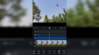 How To Add Flying Birds In Photo  Vn Editior  Vn Tutorial vneditor